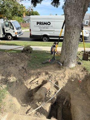 Performing a drain bursting job for a customer to get the new sewer drain under a big tree.