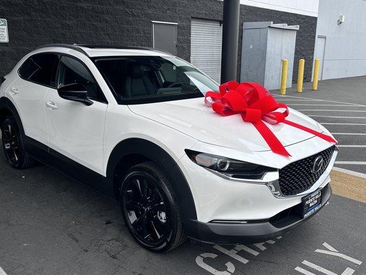 CX-30