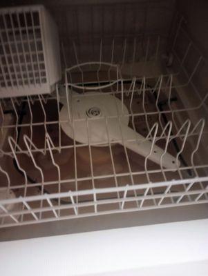 Dishwasher backing up