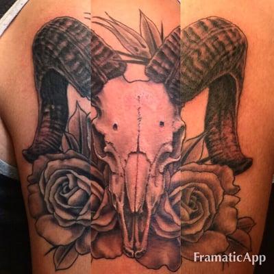 Black and grey ram skull with roses.