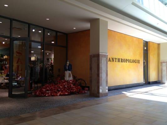 Anthropologie