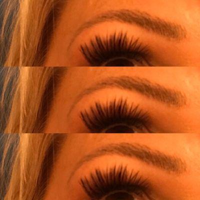 VL Lashes & Brows