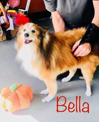 Bella