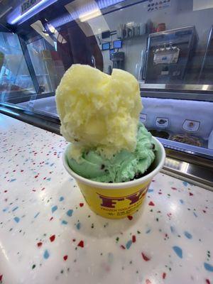 Lemon, Chocolate & Mint Ice Cream, Brendy's Ice Cream & Yogurt Delray Beach