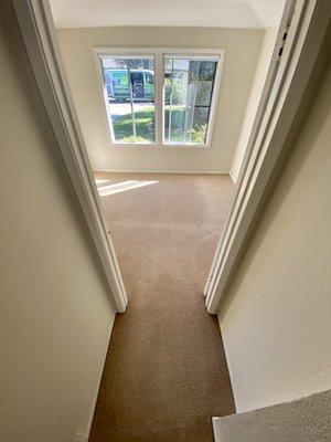 Residential Carpet Cleaning in Redwood City, CA