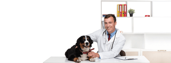 Bel Air Veterinary Hospital