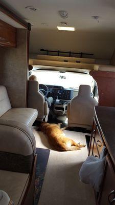 Even our dog was relaxed on the 1130 round trip ride.