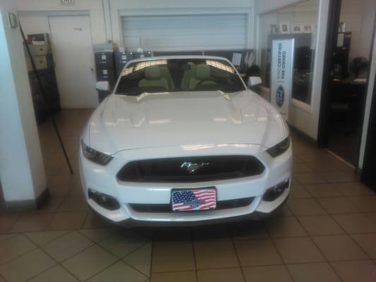 2016 Mustang 5.0 Convertable