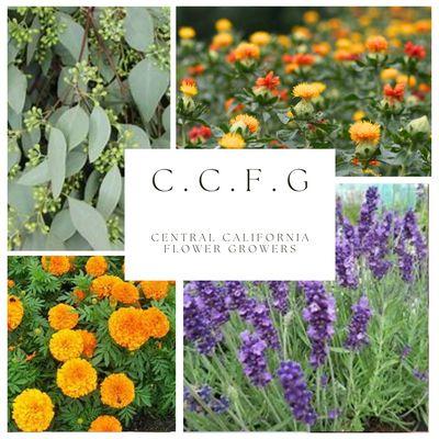 Central California Flower Growers