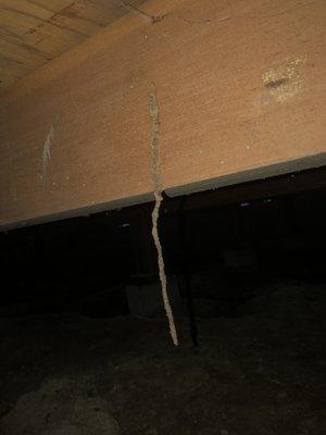 Subterranean mud tubs suspended in mud air.