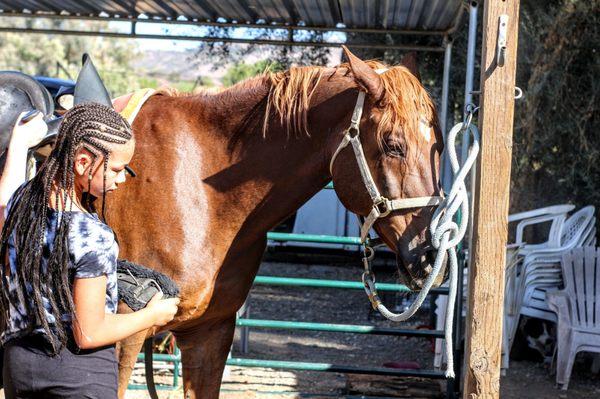 Great trainers and rides. Lessons fantastic.