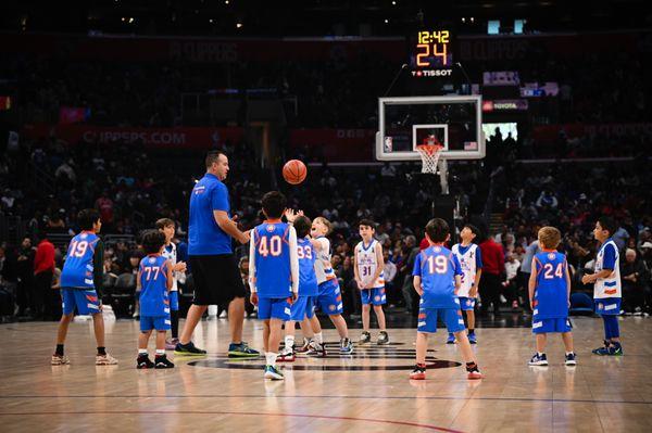 Royal Basketball School