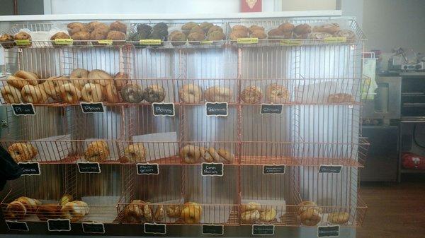 Bagels!!!!! Perfect fluffy bagels (from the Bistro Bakery in Westboro)