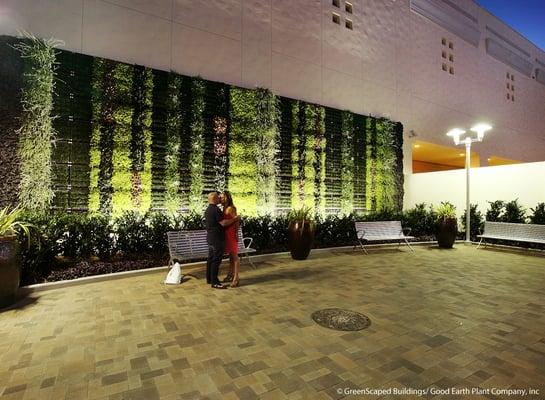 Fashion Valley Mall Living Wall