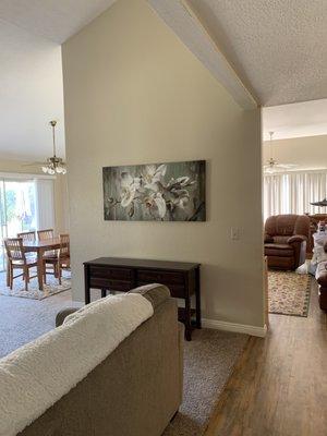 OC DUSTFREE HARDWOOD   Carpet and vinyl planks in living and family rooms.