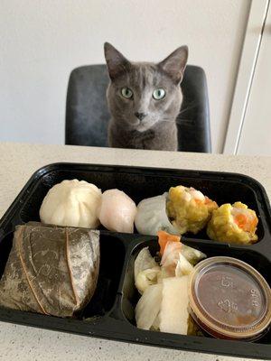 Dim Sum Bento Box