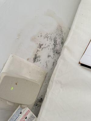 Mold in our baby's room