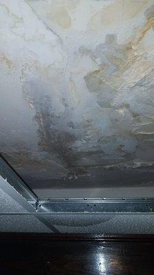 Moldy ceiling