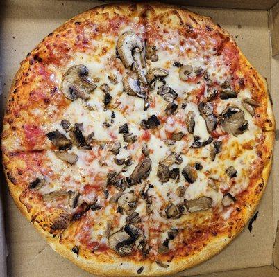 Mushroom pizza