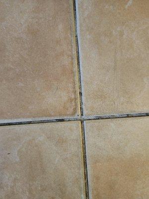 Many of the tiles, as well as the grout, were dirty after the cleaning.