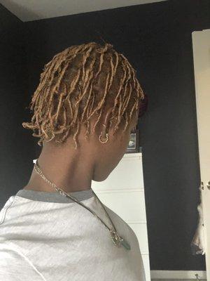 Starter locs