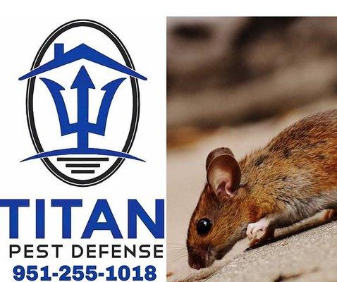 Titan Pest Control is a local and family owned company dedicated to managing the seasonal invaders and unwanted pests. Call 951-255-1018.