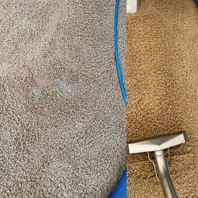 Spot carpet cleaning.