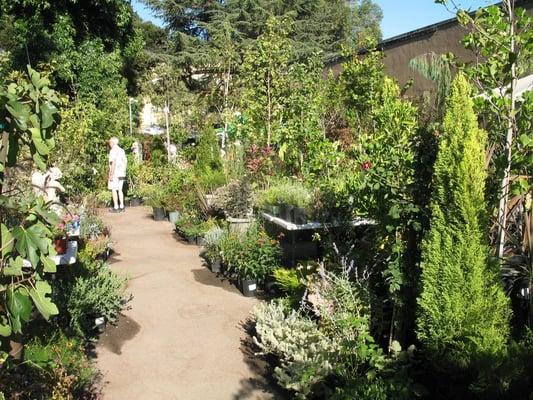 A view of the nursery on a summer's day.