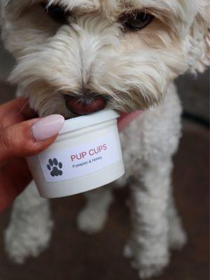 Pup Cups from Butter & Cream @tiffhuangry