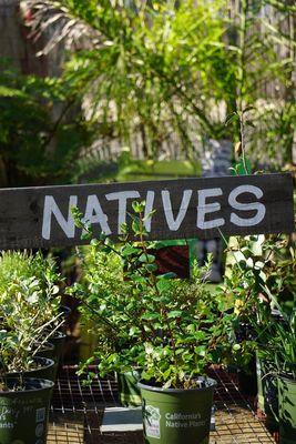 Valley Center Nursery