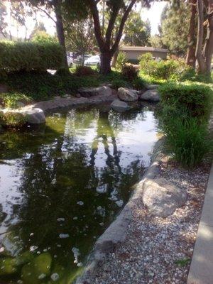 Another part of reflection pond.  Very pleasant