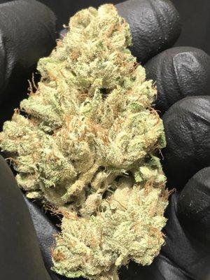 White OG Kush