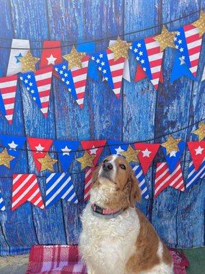 4th of July South Park doggie Adventureland style!