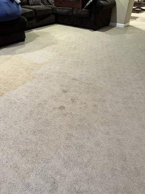 Living room stains before