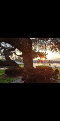 Intercoastal Waterway at Sunrise (May 2021)