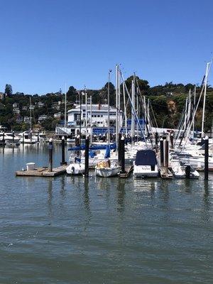 It's a beautiful day in Tiburon.