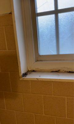 Mold growing in the bathroom