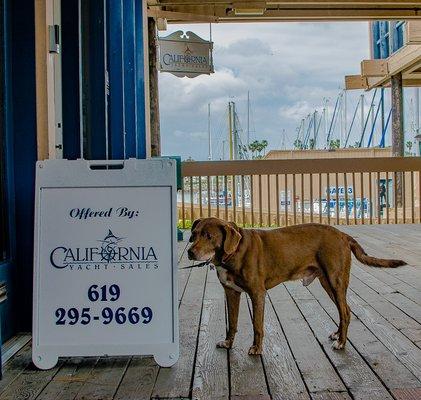 Meet the Greeter.... Buddy