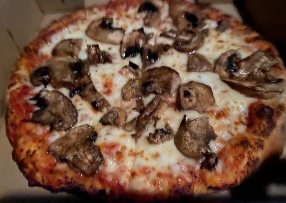 Mushroom and cheese pizza