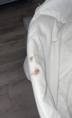 Blood stained comforter