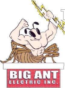 BIG ANT