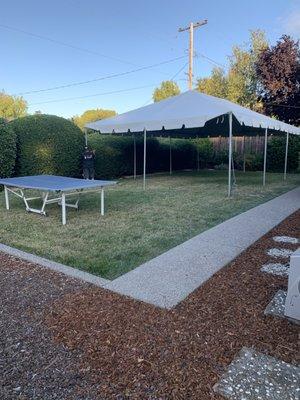 Tent installation for various business applications - 2020