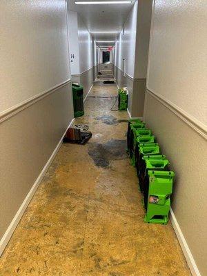 Flooded apartment, were they had to rip out flooring to run fans for 3 days