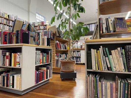 Very clean and organized book store