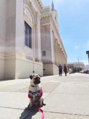 University of San Francisco