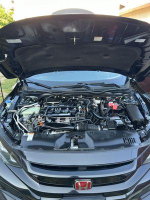 Engine Bay looks awesome and new.