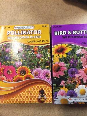 Plant some nectar plants for bees and butterflies