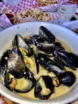 Fresh Prince Edward Island Black Mussels