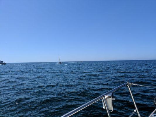 Whale watcher boats once you get our of the harbor