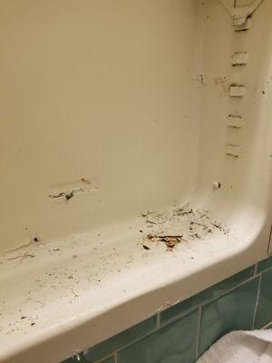 Lots of trashy unfinished spaces and medecine cabinet/bathtub drain in rusty disrepair.